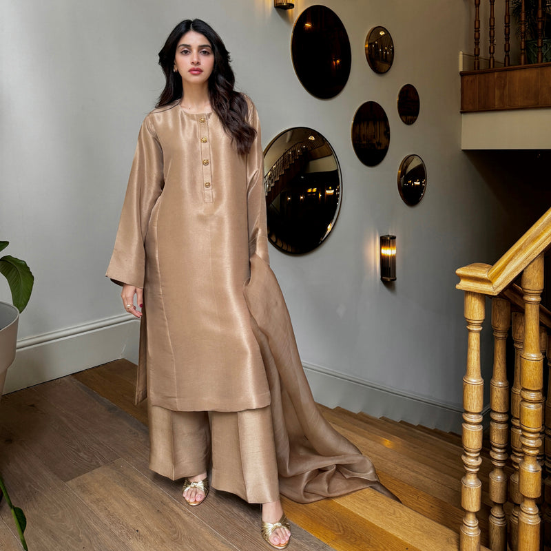 Golden Hues And Graceful Moves Anmol Baloch